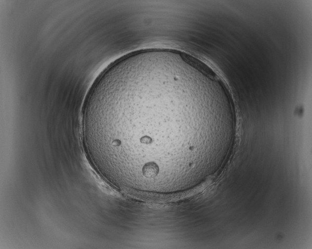 X0000115630996200911241643