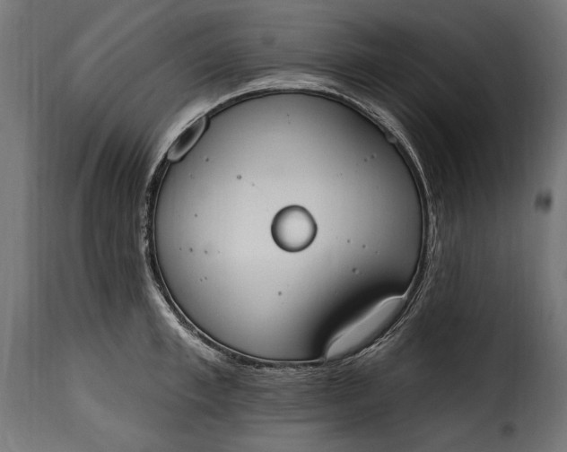 X0000115630997200911241643