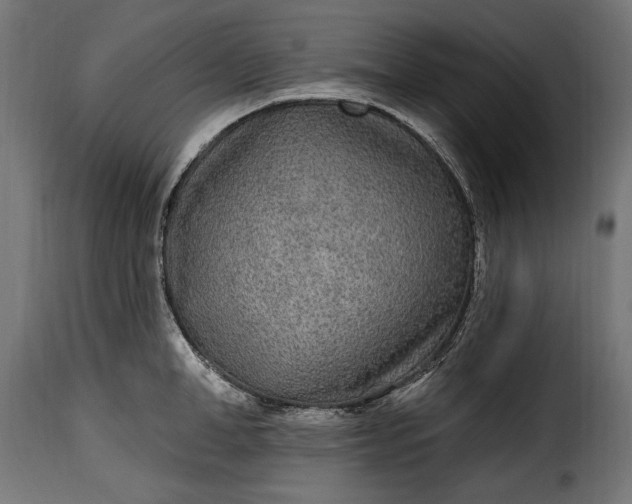 X0000115630998200911241643