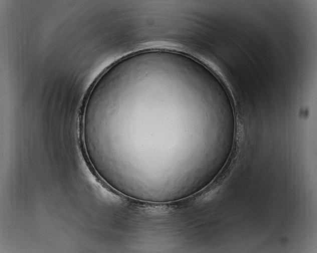 X0000115630999200911241643