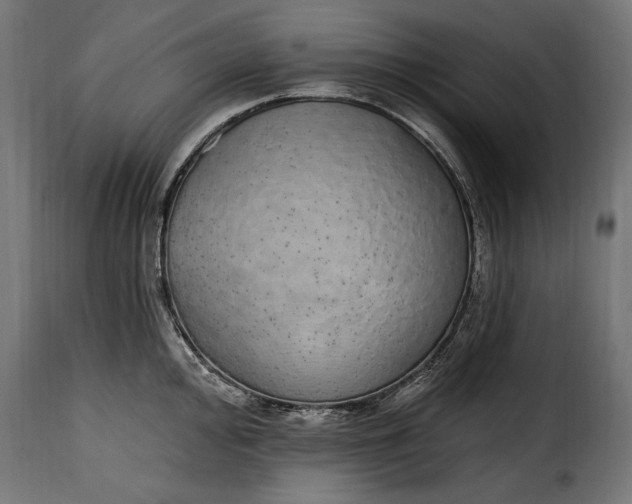 X0000115631000200911241643