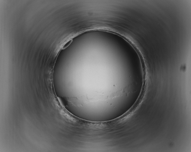 X0000115631001200911241643