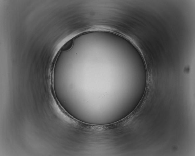 X0000115631003200911241642