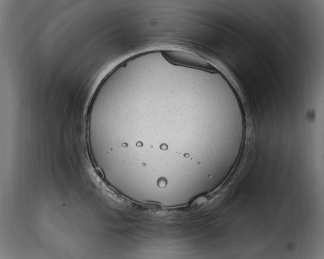 X0000115631004200911241642