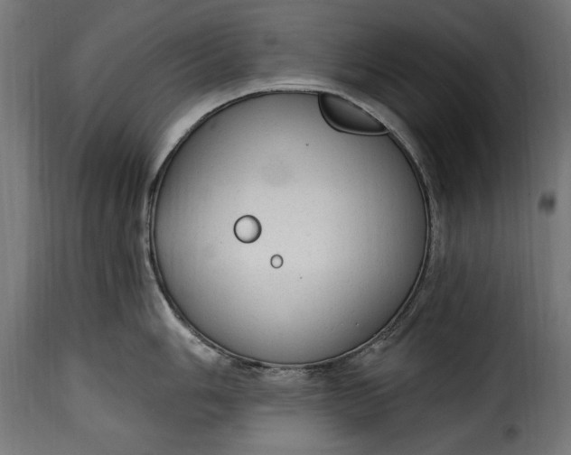 X0000115631006200911241642