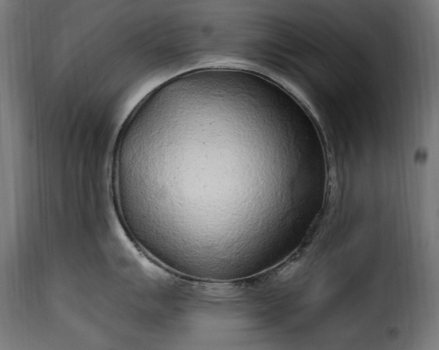 X0000115631007200911241642