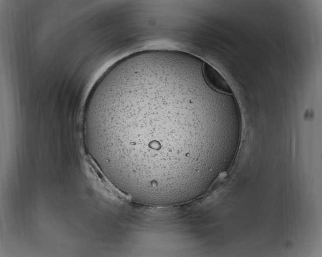 X0000115631008200911241642