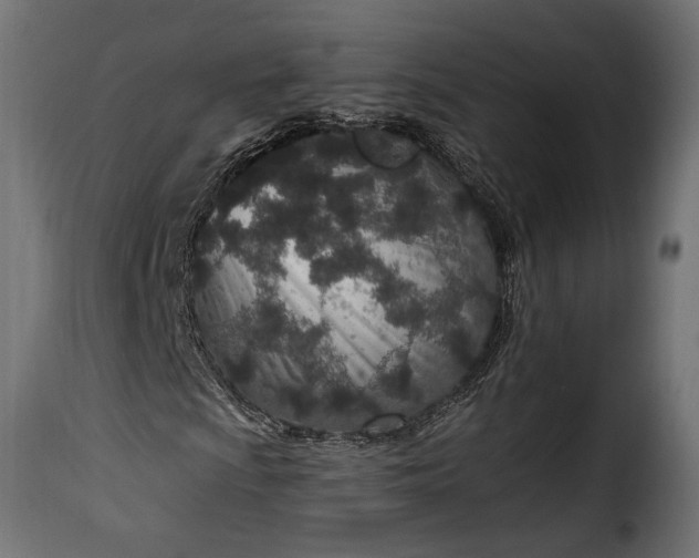 X0000115631009200911241642