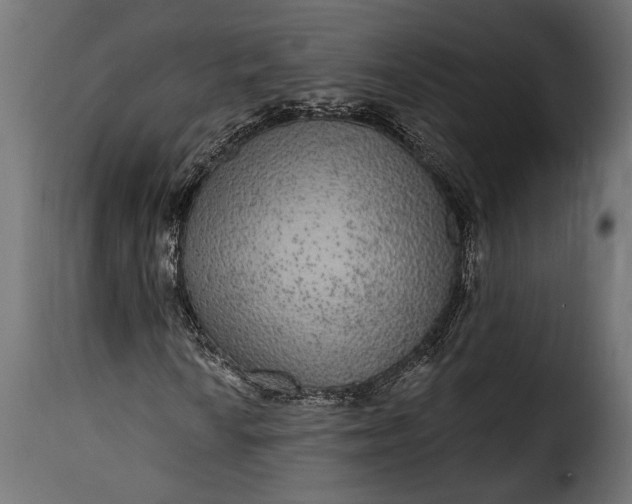 X0000115631010200911241642