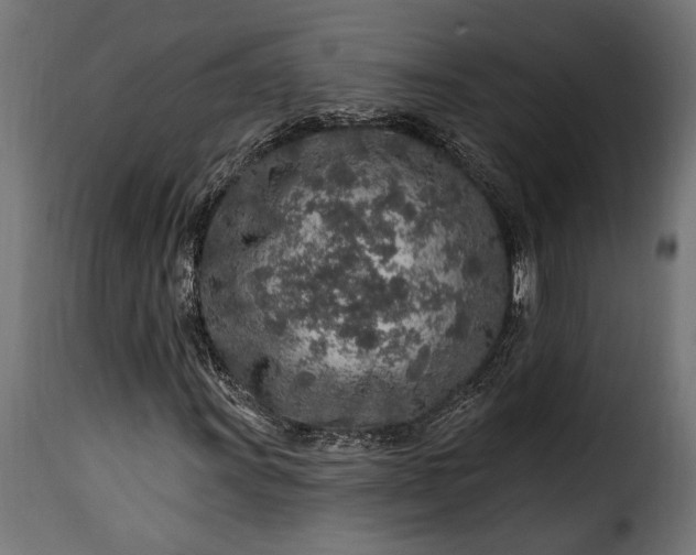 X0000115631011200911241642