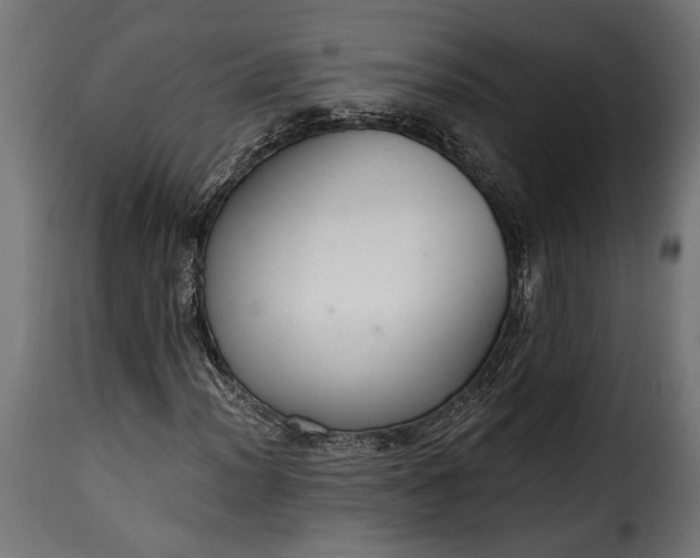 X0000115631012200911241642