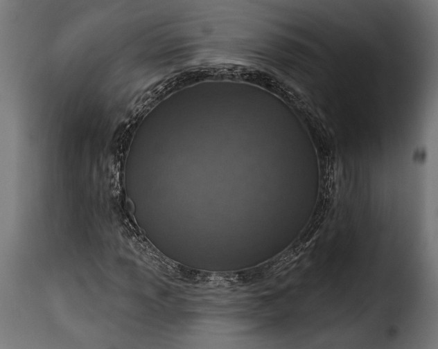 X0000115631013200911241642