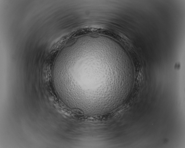 X0000115631014200911241642