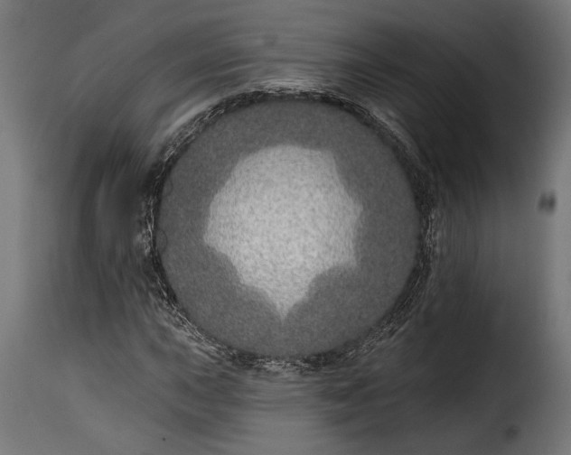 X0000115631015200911241642