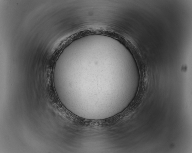 X0000115631016200911241642