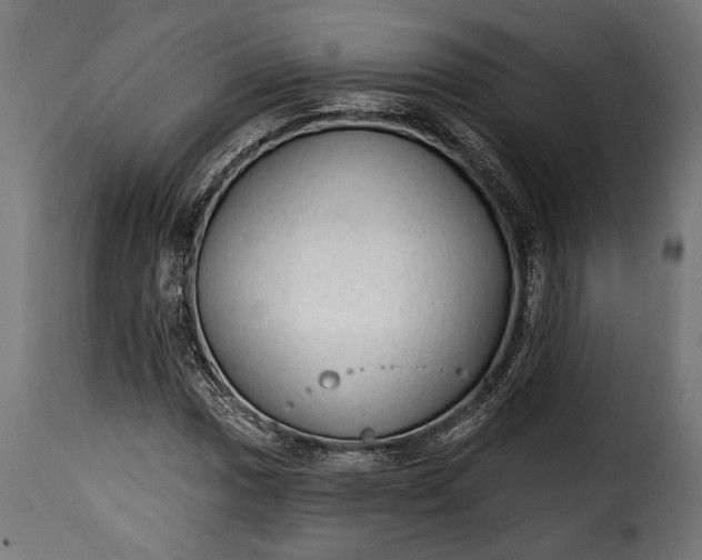 X0000115631017200911241642