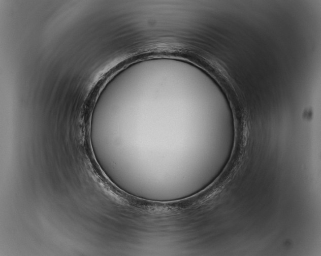 X0000115631018200911241642