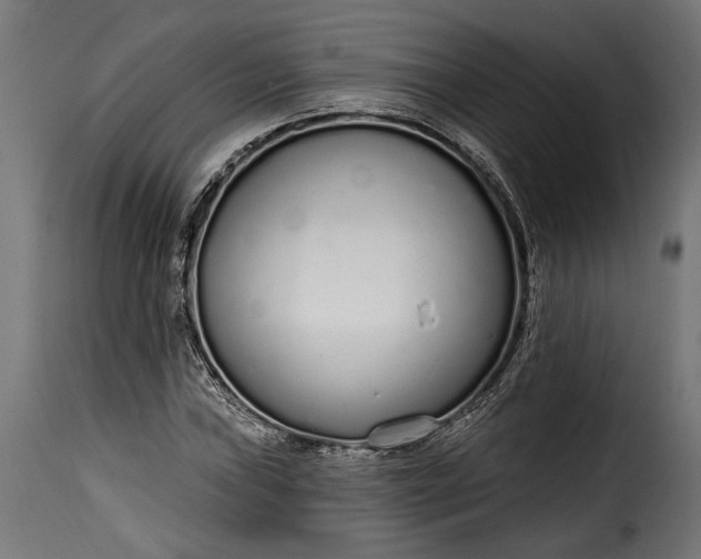 X0000115631019200911241642