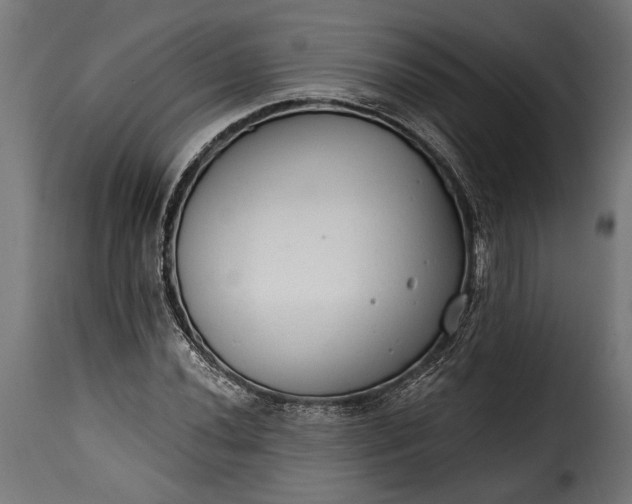 X0000115631020200911241642