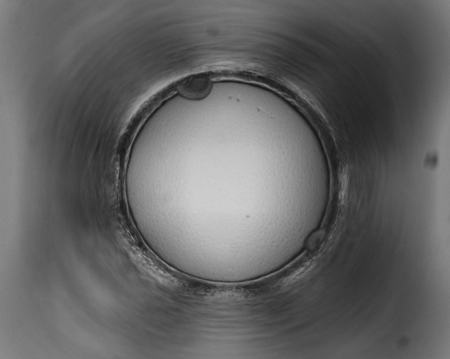 X0000115631021200911241642