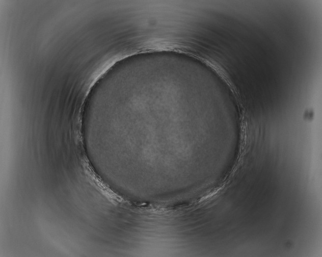 X0000115631023200911241642