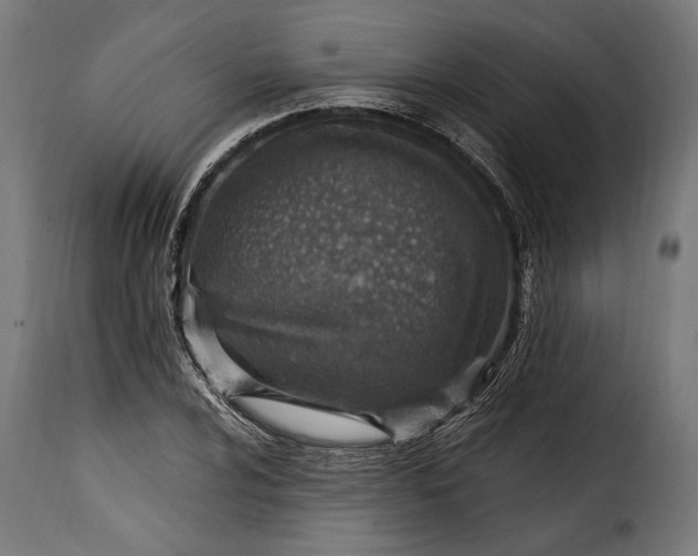 X0000115631024200911241642