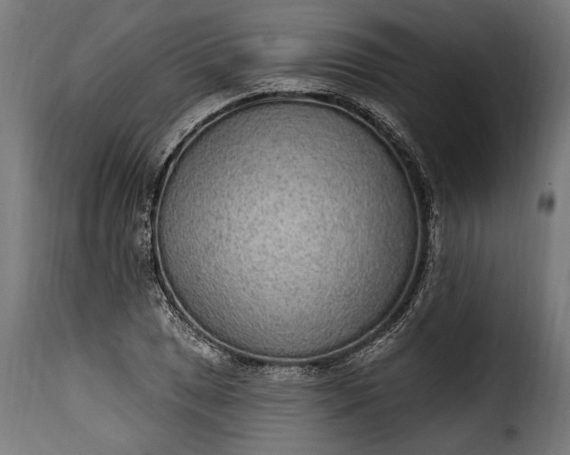 X0000115631025200911241642