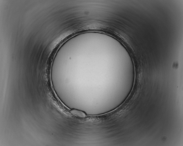 X0000115631026200911241642