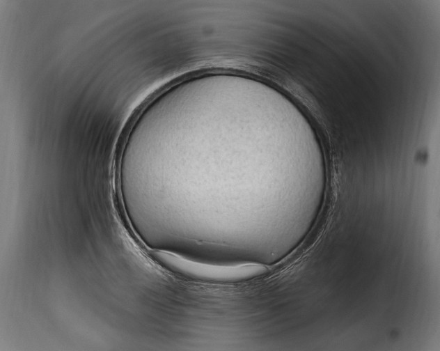 X0000115631028200911241642