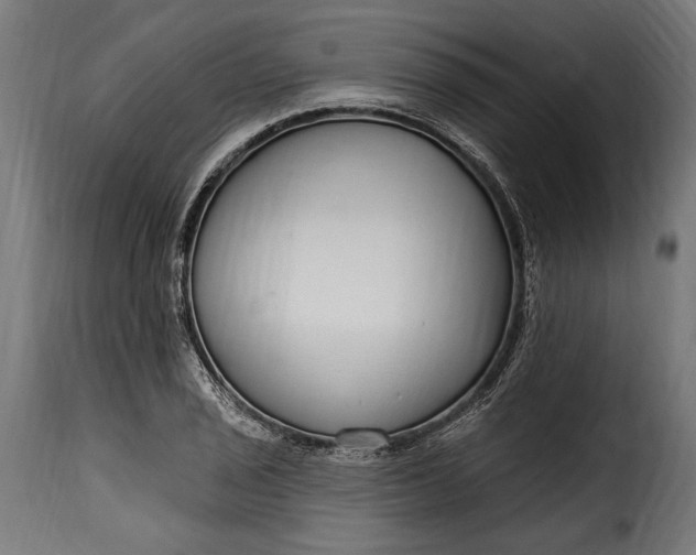 X0000115631029200911241642