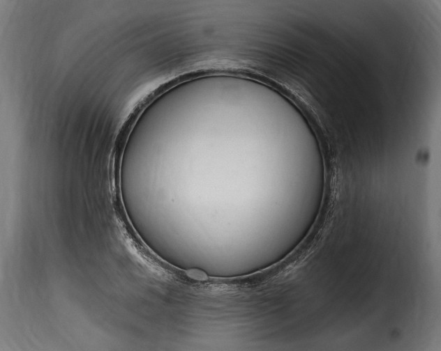 X0000115631030200911241642