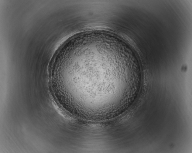 X0000115631031200911241642