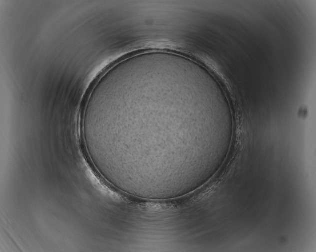 X0000115631032200911241642