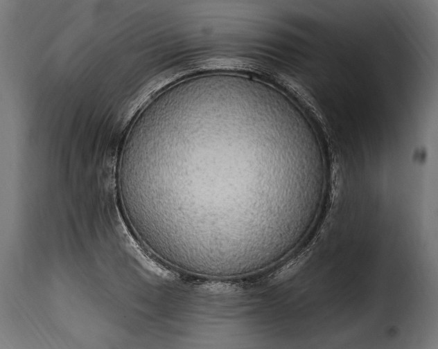 X0000115631033200911241642