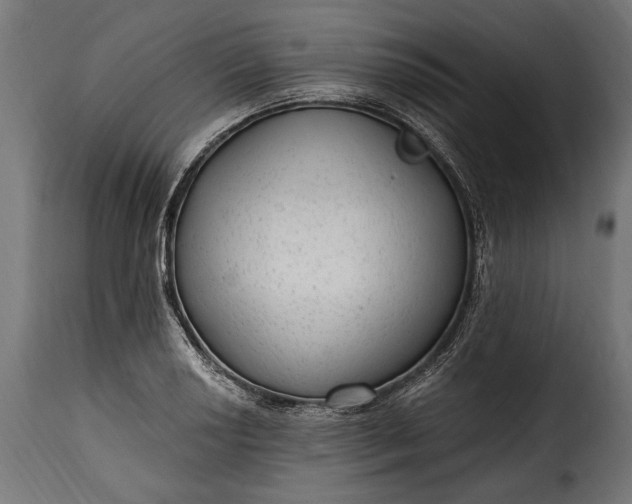 X0000115631034200911241642