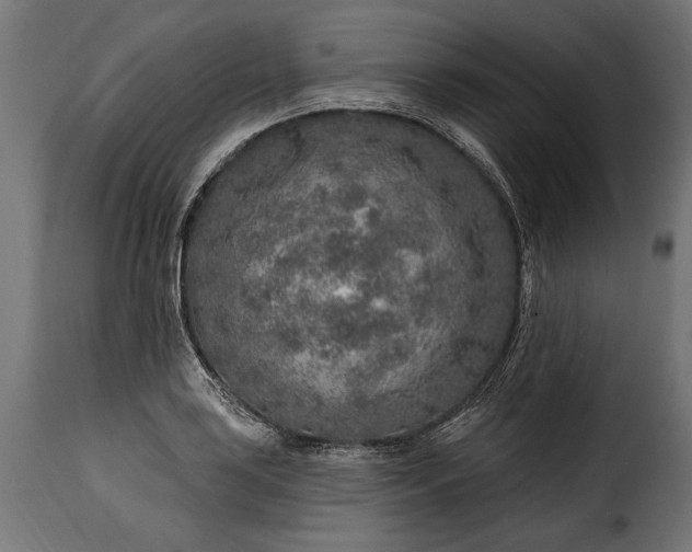 X0000115631035200911241642