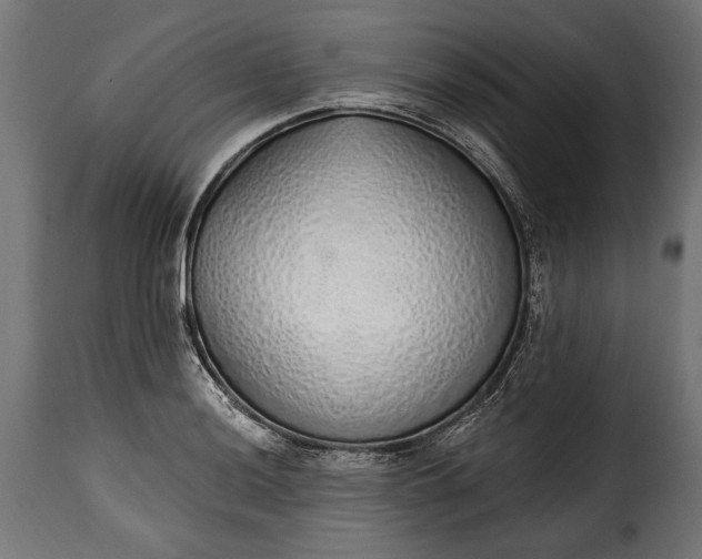 X0000115631036200911241642