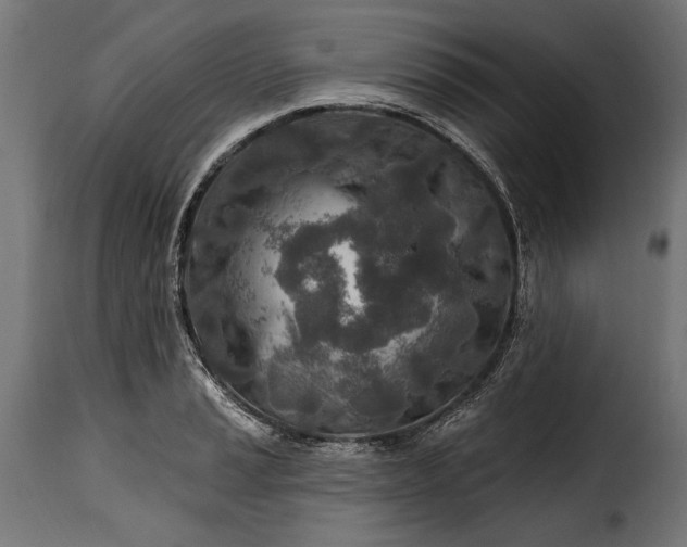 X0000115631037200911241642