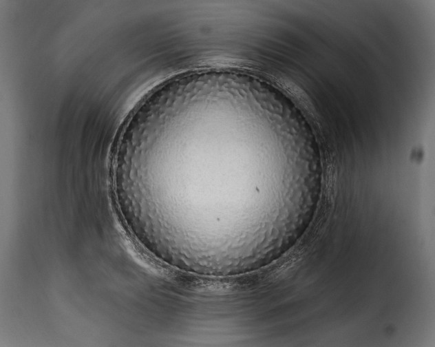 X0000115631039200911241642