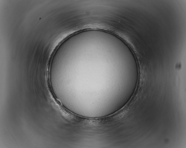 X0000115631040200911241642