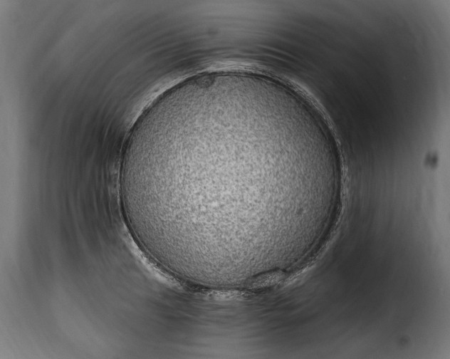 X0000115631041200911241642