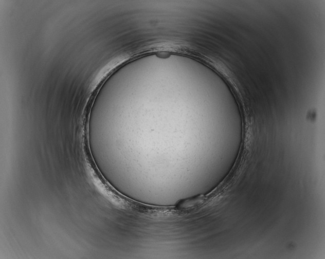 X0000115631042200911241642