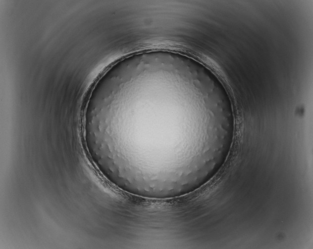 X0000115631043200911241642