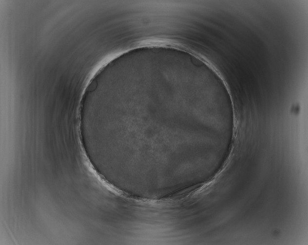 X0000115631045200911241642