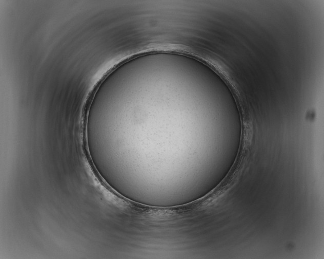 X0000115631046200911241642