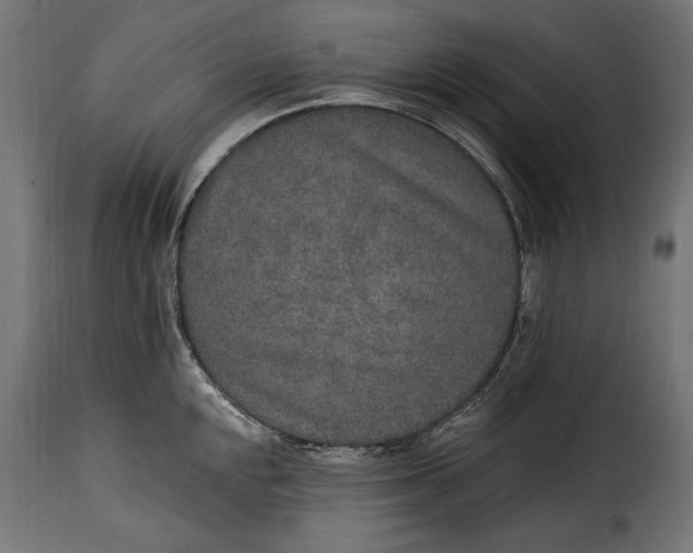 X0000115631048200911241642