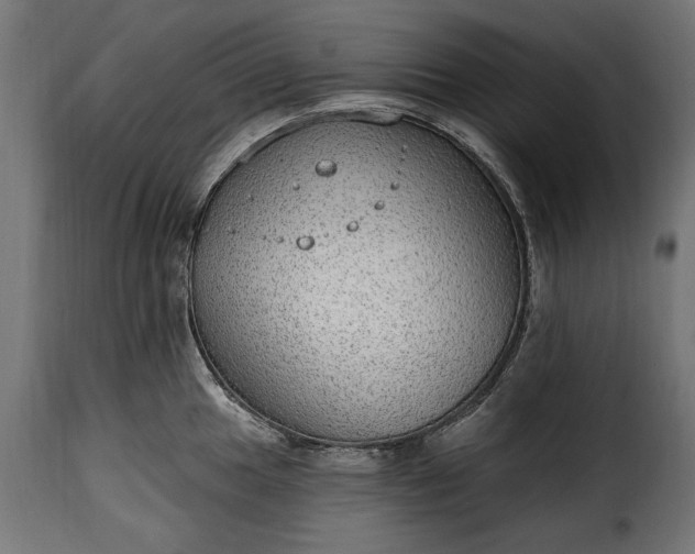 X0000115631049200911241642