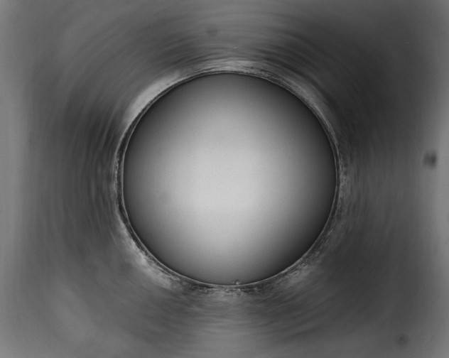 X0000115631050200911241642