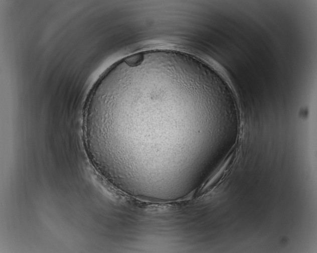 X0000115631051200911241642