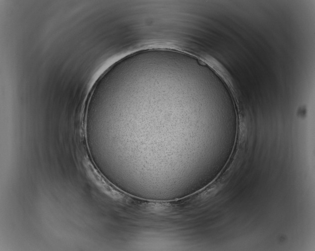 X0000115631052200911241642